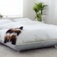 Freshbed arrangement